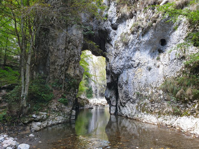 Aventura si relaxare in Cheile Rametului