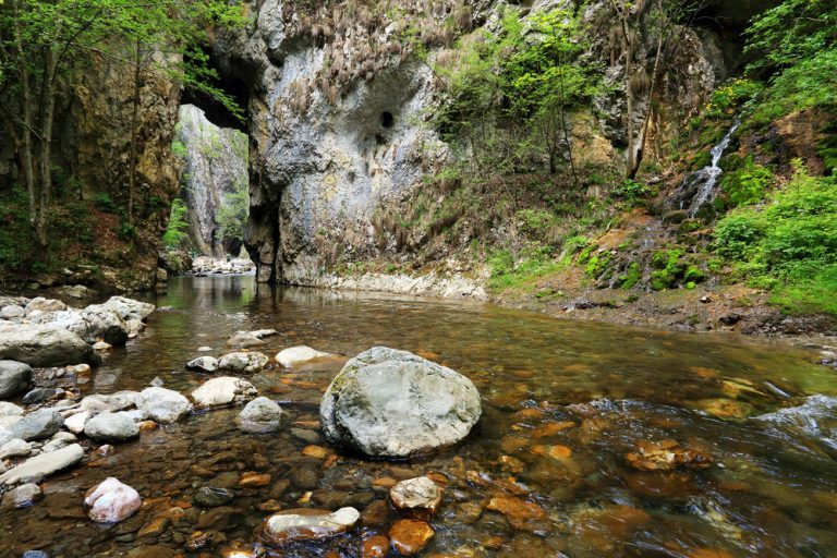 Aventura si relaxare in Cheile Rametului