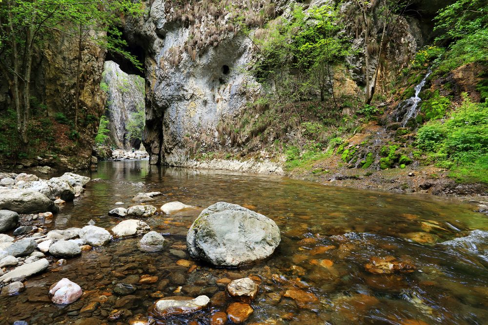 parau-cheile-rametului