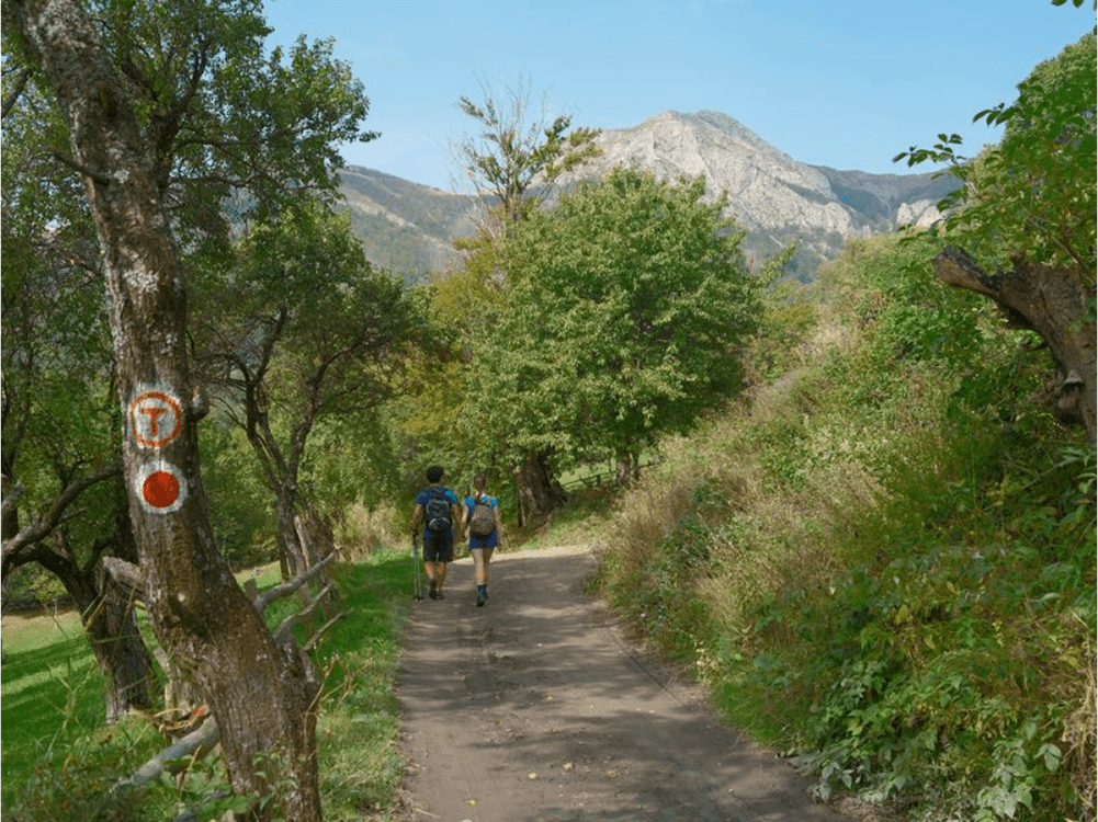 Tânăr cuplu mergând pe Via Transilvanica într-o zi de vară