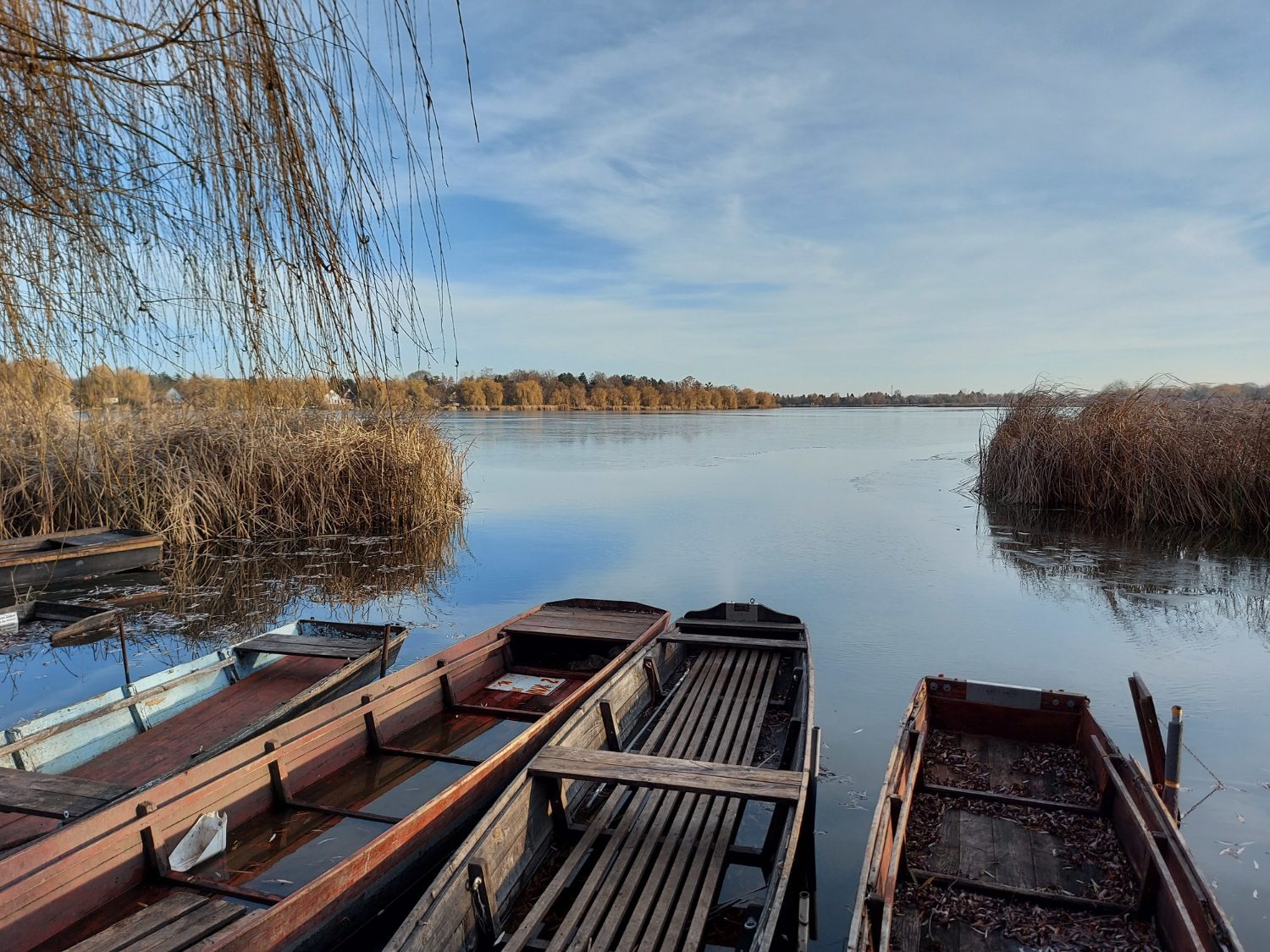 Danube Delta