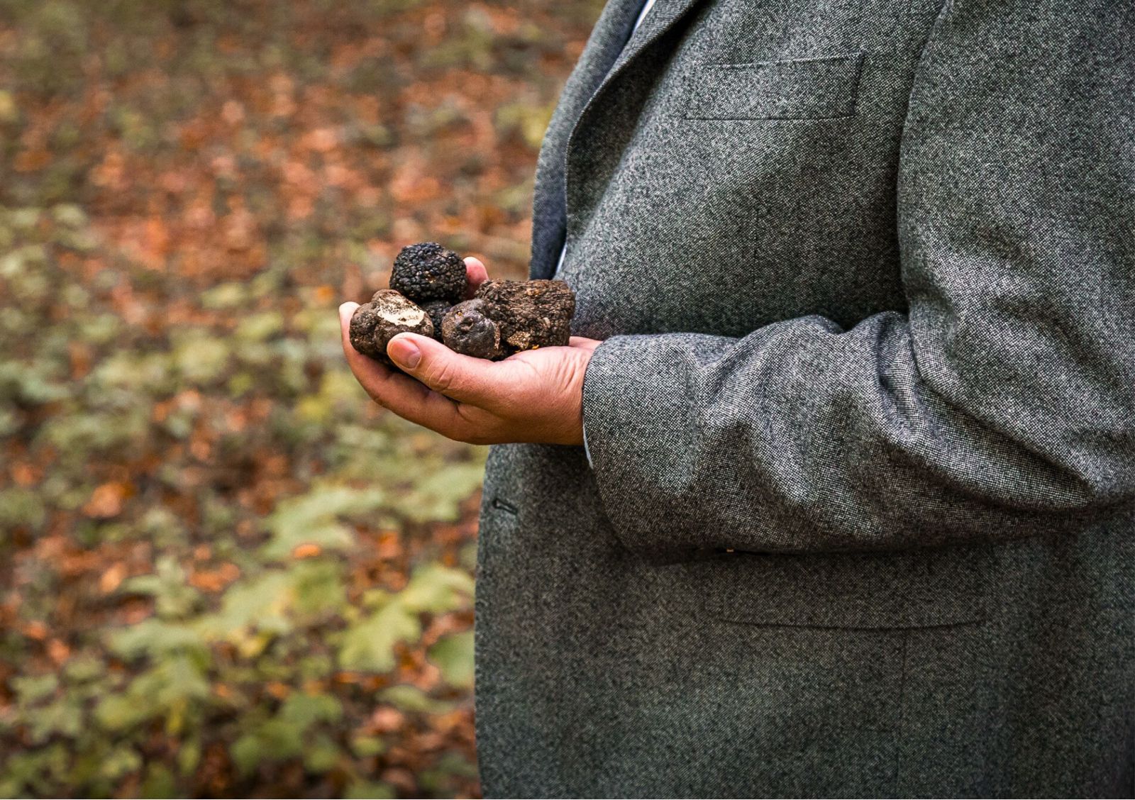 Wochenende der Trüffelsuche