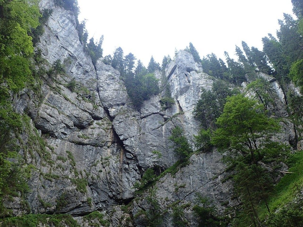 Formațiuni carstice în Cetățile Ponorului