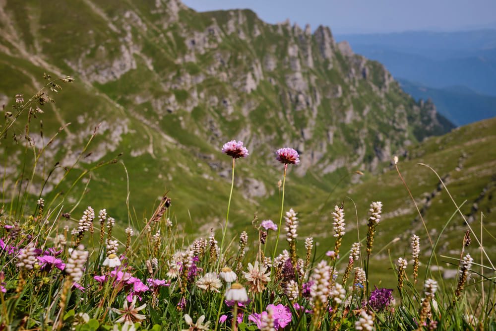 Parcul Natural Bucegi